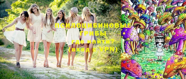 спайс Ладушкин